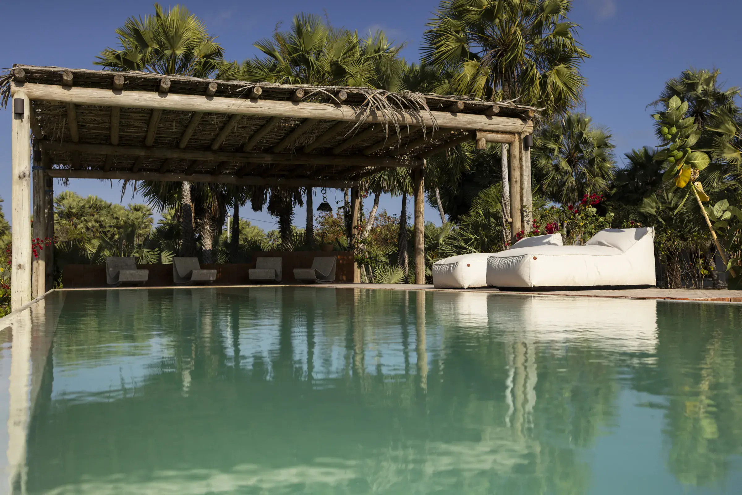 Casa Camuá — piscina e pergolado entre carnaúbas