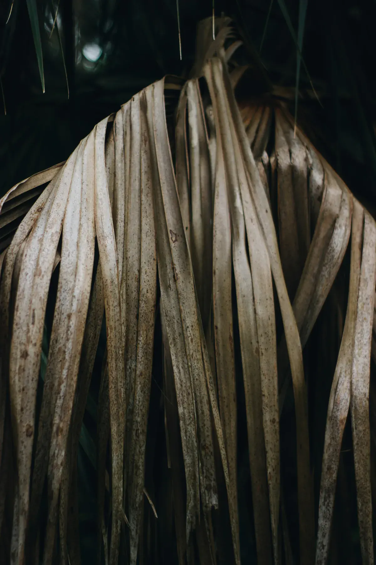 Residência — alma local